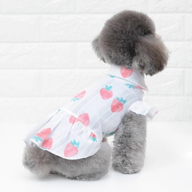 全2種 カップル ペアルック お揃い 春夏 犬服 ドッグウェア ペット服 わんこ Bandp Dog Wear わんこのお洋服 犬服 ペット服