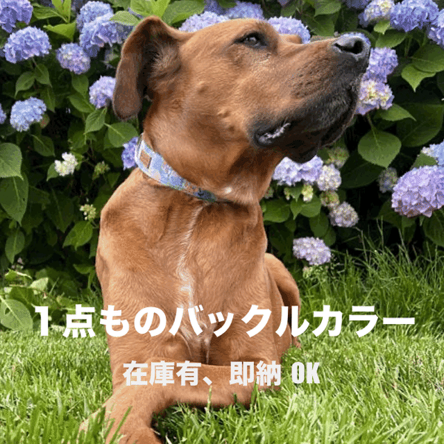 Modern Dog モダンドッグ 海外直輸入 犬用品の通販店