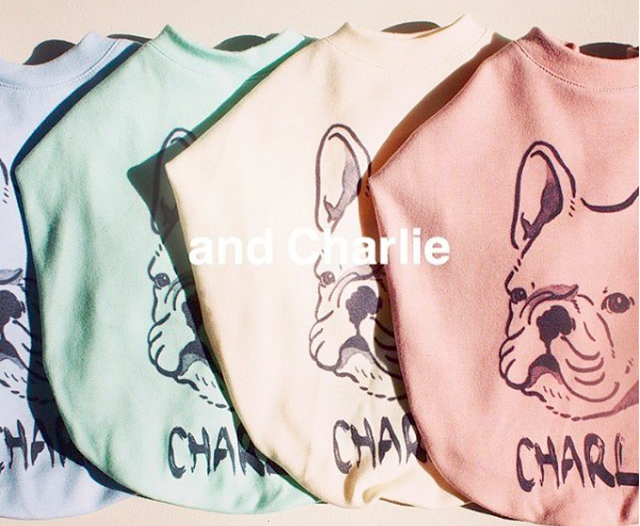 Andcharlie Clothes ひとつだけの服 イラスト購入ページ Ne22co