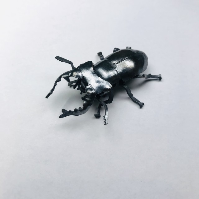 【たがや】 「ミヤマクワガタ」