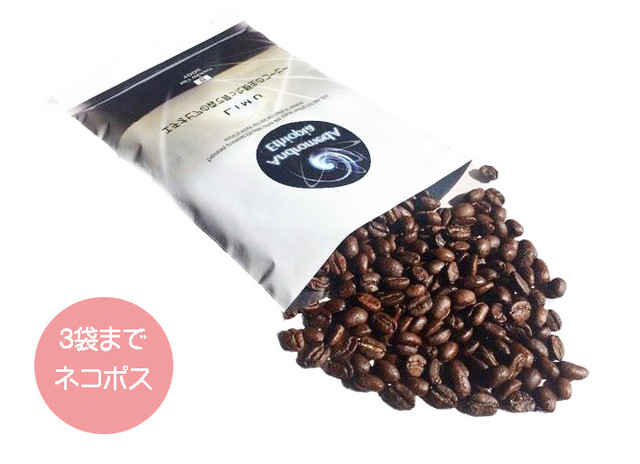 白いコーヒー エチオピア グジ 挽いた豆100ｇ Idakishin 焙煎 おやしろカフェ 野生のコーヒー コーヒー豆通販 Coffee 飲み物