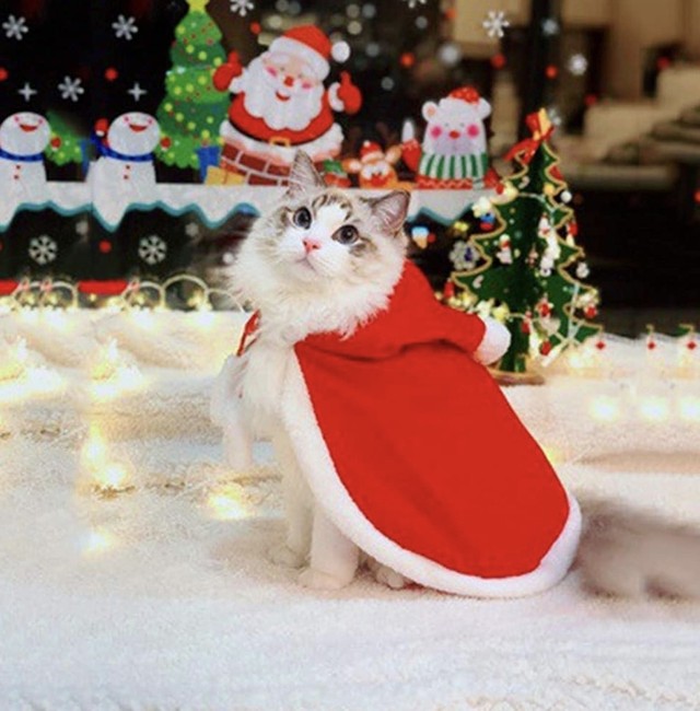 クリスマス向け マント 帽子付き サンタ コスプレ ポンポン 防寒 暖かい 猫 犬服 サンタクロース クリスマス パーティー ペット服 仮装 コスチューム Apq