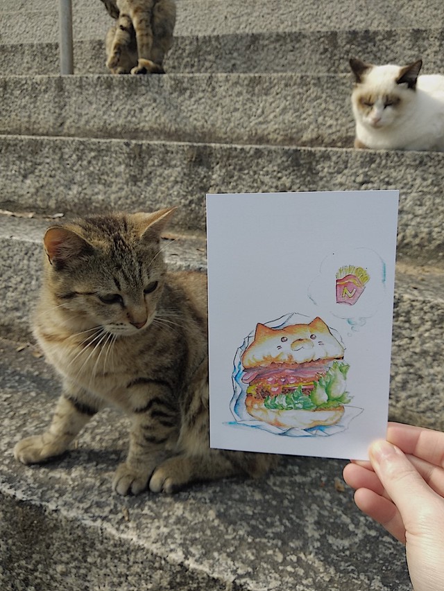 ポストカード 猫バーガーちゃん Uni House オンラインショップ ポストカード 猫バーガーちゃん Uni House オンラインショップ