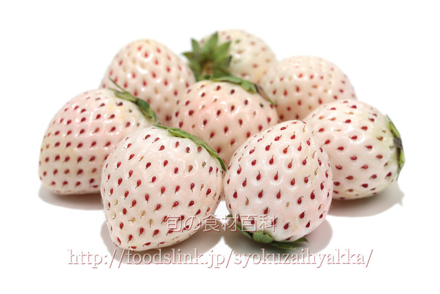 パールホワイト いちご Pearlwhite011 67x4480 旬の食材百科 ロイヤリティーフリー画像素材