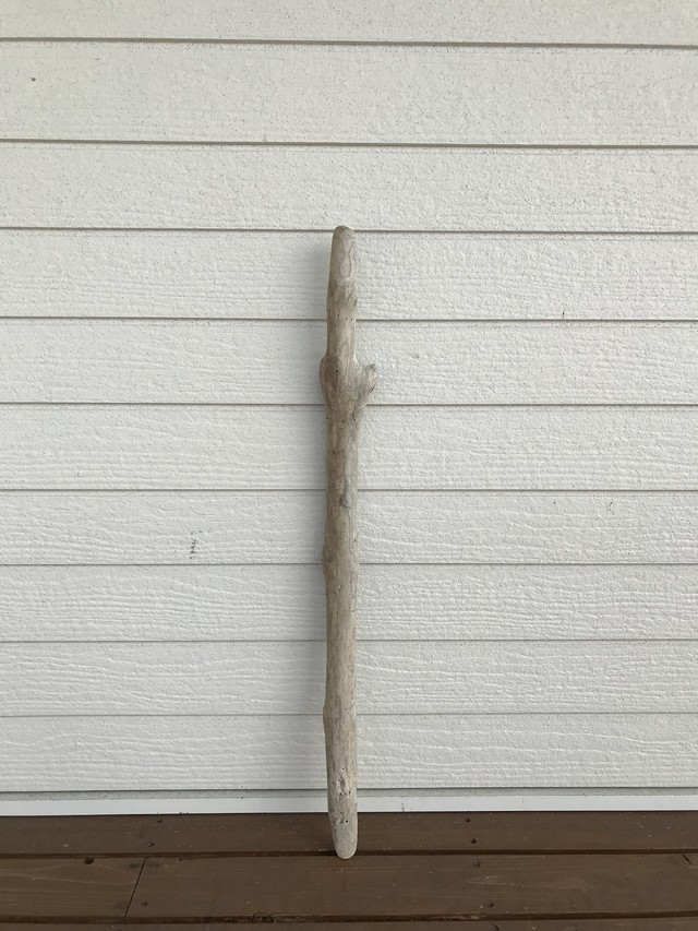 流木 長さ84センチ 直径4センチ Marine Branch