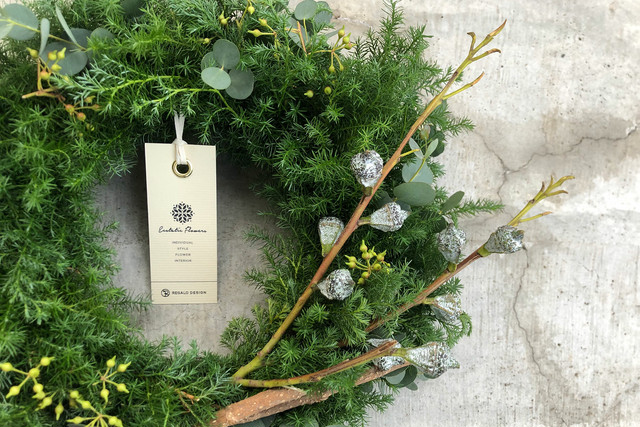 Chamaecyparis pisifera #01