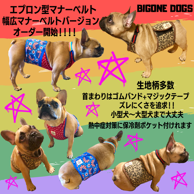 中古 マナーベルト マナーバンド オーダー用 犬用品 Slcp Lk