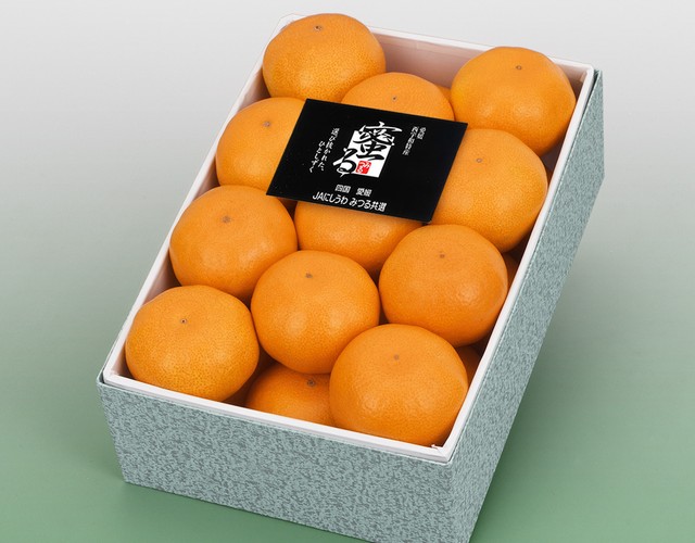 愛媛県産 蜜るみかん 化粧箱 〔送料無料 みかん 詰め合わせ 贈答用〕