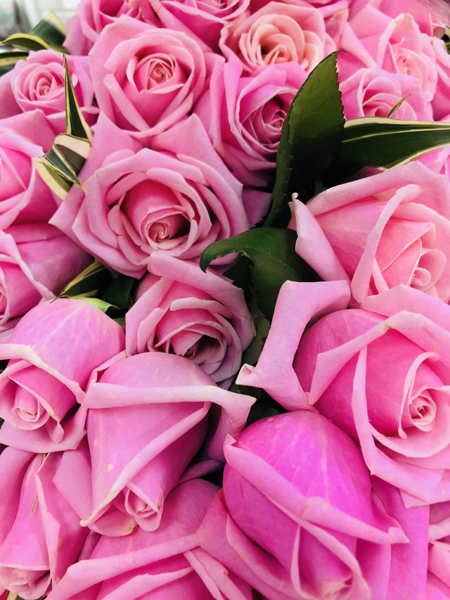 幸せいっぱい記念日に薔薇の花束５０本 Npo法人花プロダクション