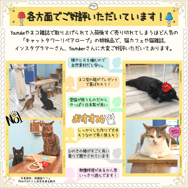 全国組立設置無料 美品 子猫プリントjsk 100 新発売の Chaghkabab Com