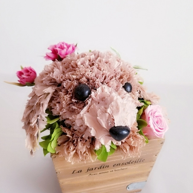 日本全国送料無料 プリザーブトフラワー ダックスフンド クリアボックス入り 犬 カーネーション 人気第6位 Blissbarandlounge Com