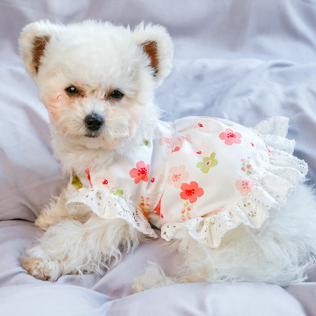 春夏新作 おしゃれ 犬服 小型犬服 ペット服 ドッグウェア ワンピ フラワー レース かわいい 室内着 お出掛け用 小型犬のためのお店 Seasonz かわいいペットウェアの通販