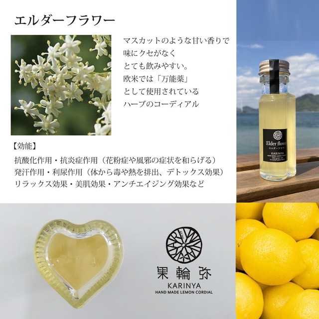 人気 1ドリンク エルダーフラワー レモンコーディアル ミニボトル Karinya Lemoncordial 果輪弥 レモンコーディアル専門店