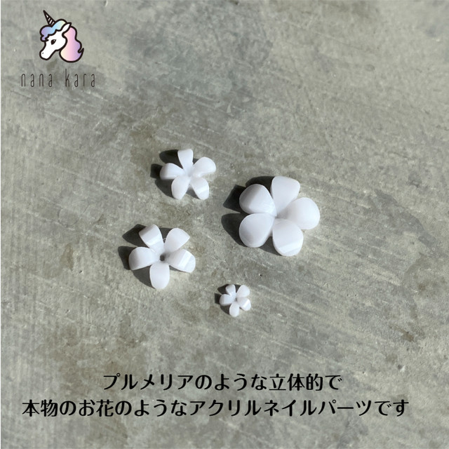Nana Kara ナナカラ 3dパーツ フラワー プルメリア Simpliee