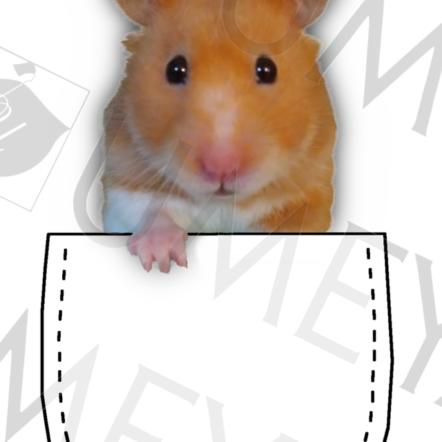 オーダープリント トートバッグ S Good Goods By Umeya オーダープリント トートバッグ S Good Goods By Umeya