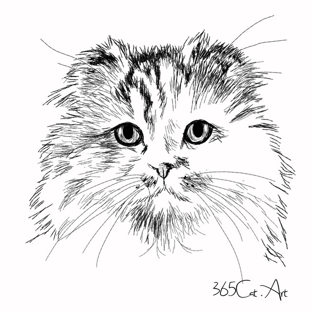 猫の手描きイラスト 似顔絵 白黒 作成 顔のみ 動物 人間可 猫雑貨 グッズ通販 猫や動物イラスト 似顔絵作成 365cat Art