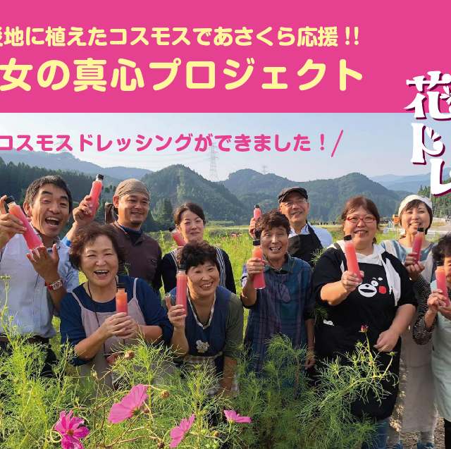 乙女の花ドレ コスモスドレッシング Asakura0946ショップ