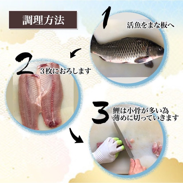 鯉のあらい ５０枚 2 3人前 夕方5時作り翌日中お届け 九州 沖縄地方 北海道地方は2日かかる為不可 鯉のあらい フナの甘露煮 ナマズ切身 活ドジョウ 美味しい川魚 ハスミフーズ