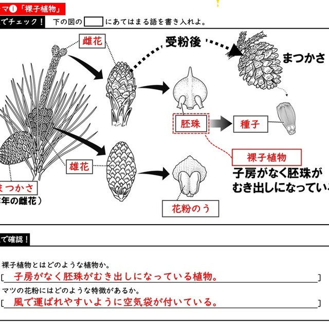 中１理科テクニック集 塾の裏技 Examfukuu