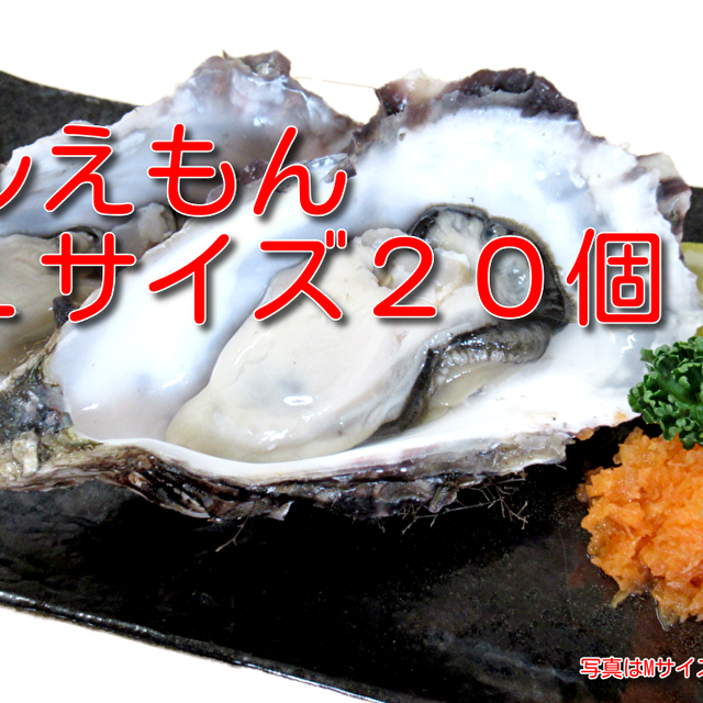 産地直送 北海道厚岸産 殻付き 生牡蠣マルえもん 3lサイズ個入 マクベリーの ひがし北海道 おいしいものショップ