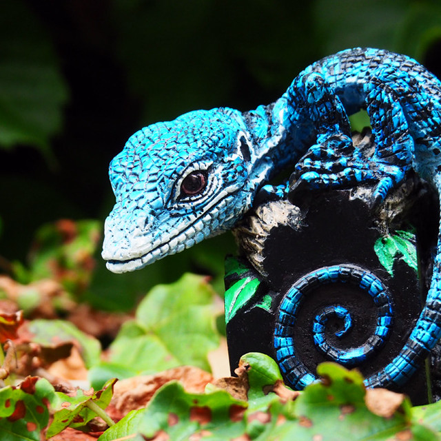 コバルトツリーモニター Varanus Macraei Y O N M A R U 40 ヨンマル