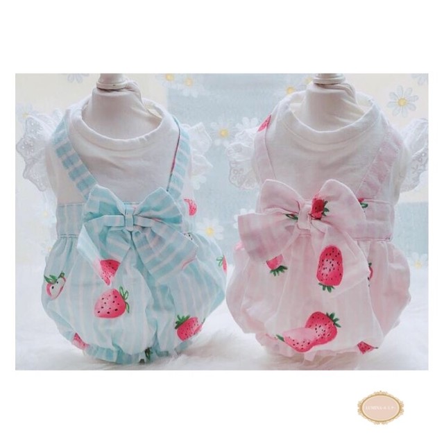 予約 春夏ドッグウェア 苺ワンピース 2color ペット用品 犬 猫 犬服 ドッグウェア 可愛い ピンク ブルー ワンピース Lumina ルミナ