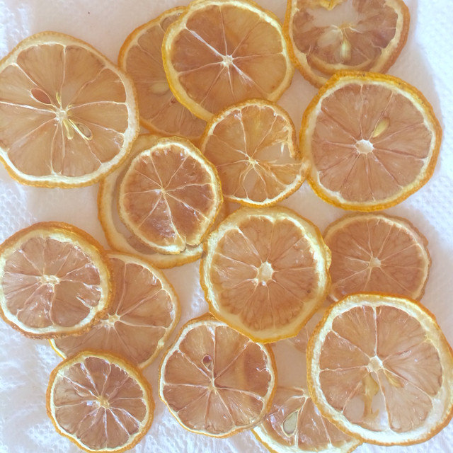 宮崎ドライレモン 17g づのファーム