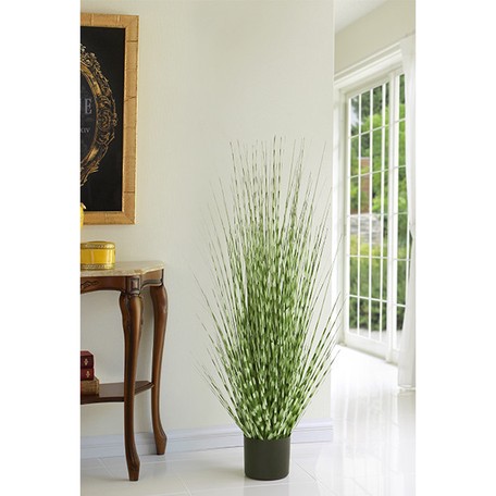 安心の定価販売 観葉植物 光触媒 フェイクグリーン Zebra Grass L 約140cm セール30 Off Www Centrodeladultomayor Com Uy