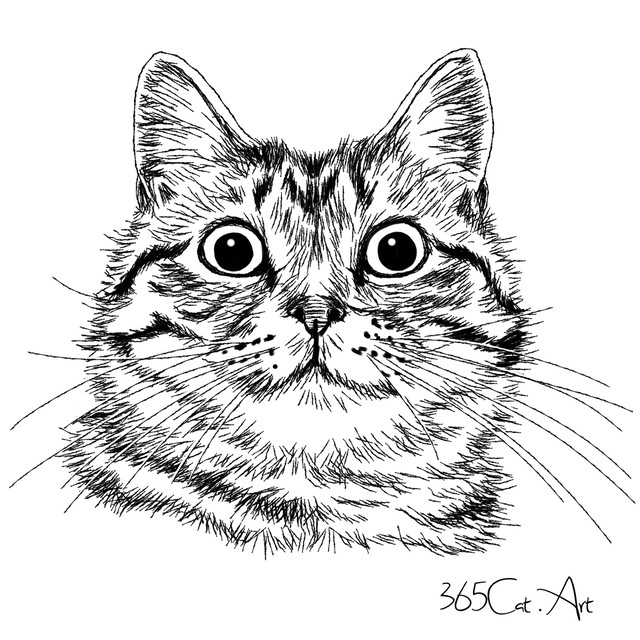 猫の手描きイラスト 似顔絵 白黒 作成 顔のみ 動物 人間可 猫雑貨 グッズ通販 猫や動物イラスト 似顔絵作成 365cat Art