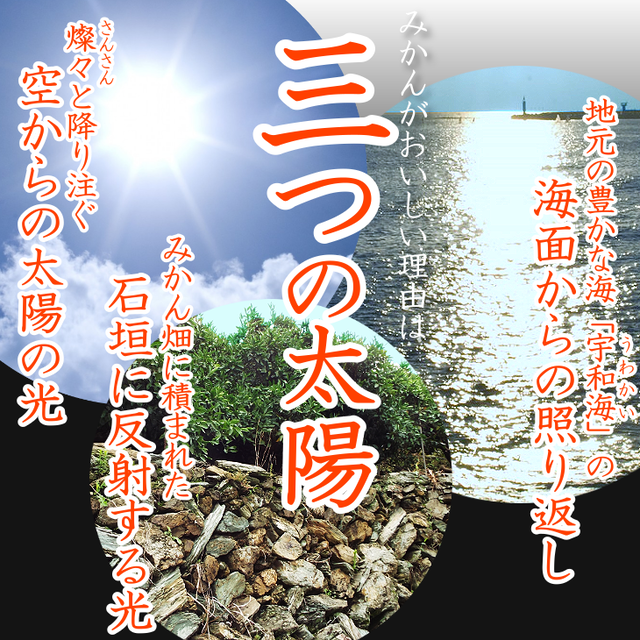 えひめのあまーい冷凍みかん 2sサイズ9個入 3袋セット おいしい愛媛をちょっと食べっ Eat Ehime Umaimon