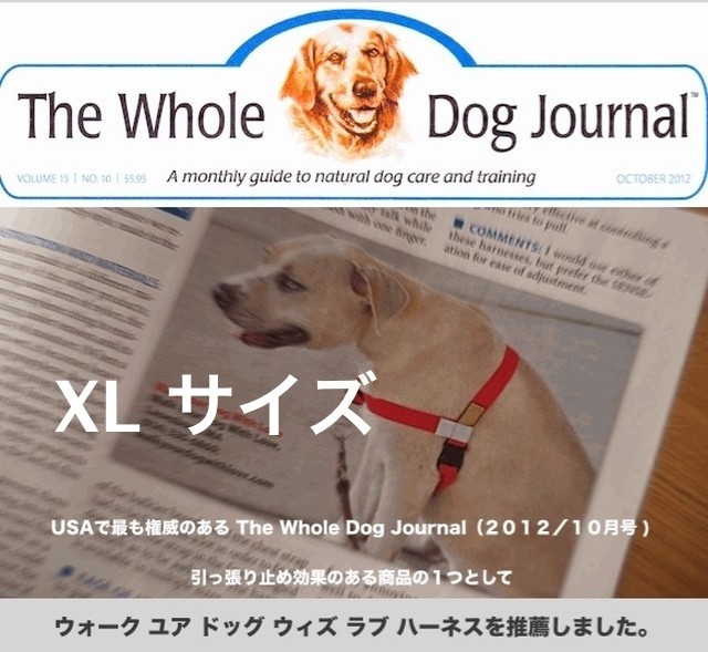 引っ張り防止 ノー プル ハーネス Xlサイズ 36 73kg Modern Dog モダンドッグ 犬用品の通販店