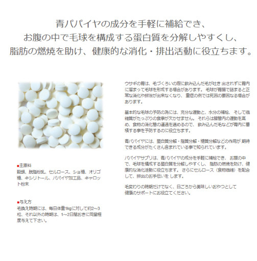 三晃商会 パパイヤ サプリ 20g Fiable N