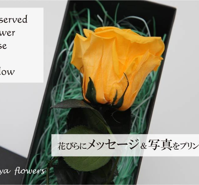 花びらにメッセージと画像をプリント プリザーブドフラワー Aquxya Flower Jewelry
