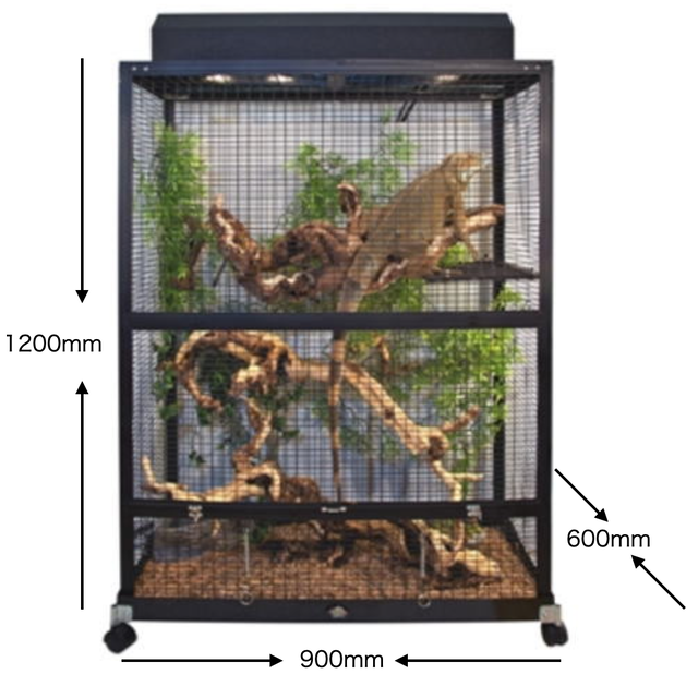 レプティブリーズ イグアナリウム アカシックレコーディングス株式会社