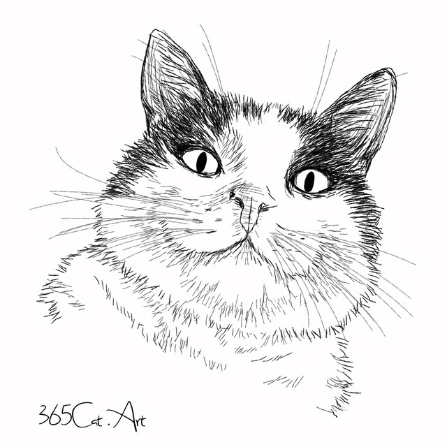 猫の手描きイラスト 似顔絵 白黒 作成 顔のみ 動物 人間可 猫雑貨 グッズ通販 猫や動物イラスト 似顔絵作成 365cat Art