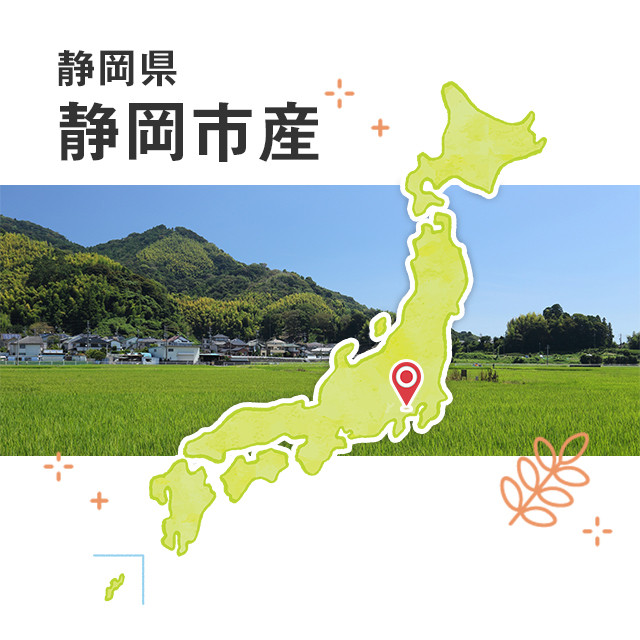 しっかりとした濃い旨味の味わい 老舗のだし 静岡県静岡市 The Gamall ザ ガモール