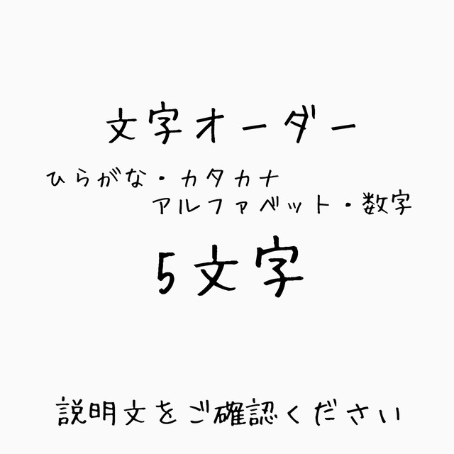 ５文字 ひらがな カタカナ アルファベット 数字 片耳用 説明必読 Iki
