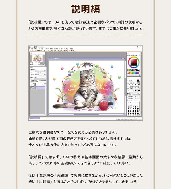 パソコン絵画 ペイントツールsaiの教科書 1 説明 実践 初級 編 パソコン絵画教室 夢具箱 Base店