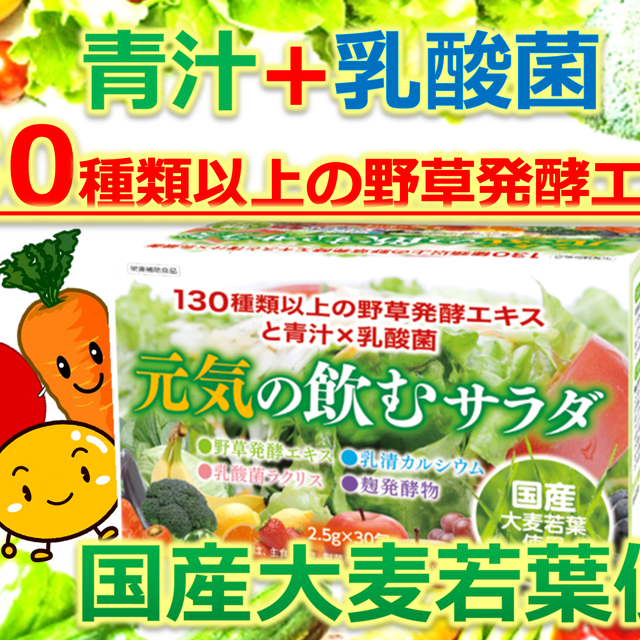 お得な 3ヶ月定期便 元気の飲むサラダ 乳酸菌が入ったおいしい青汁 つなぐすり