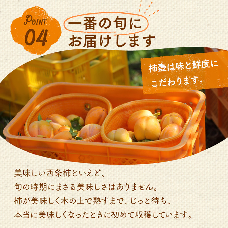 柿農家「柿壺」西条柿の干し柿 お徳用 6玉×3パック【送料無料