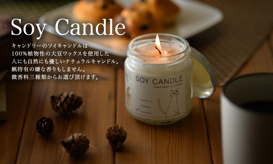 コピー Soy Candel 瓶 Mofuco By Candly