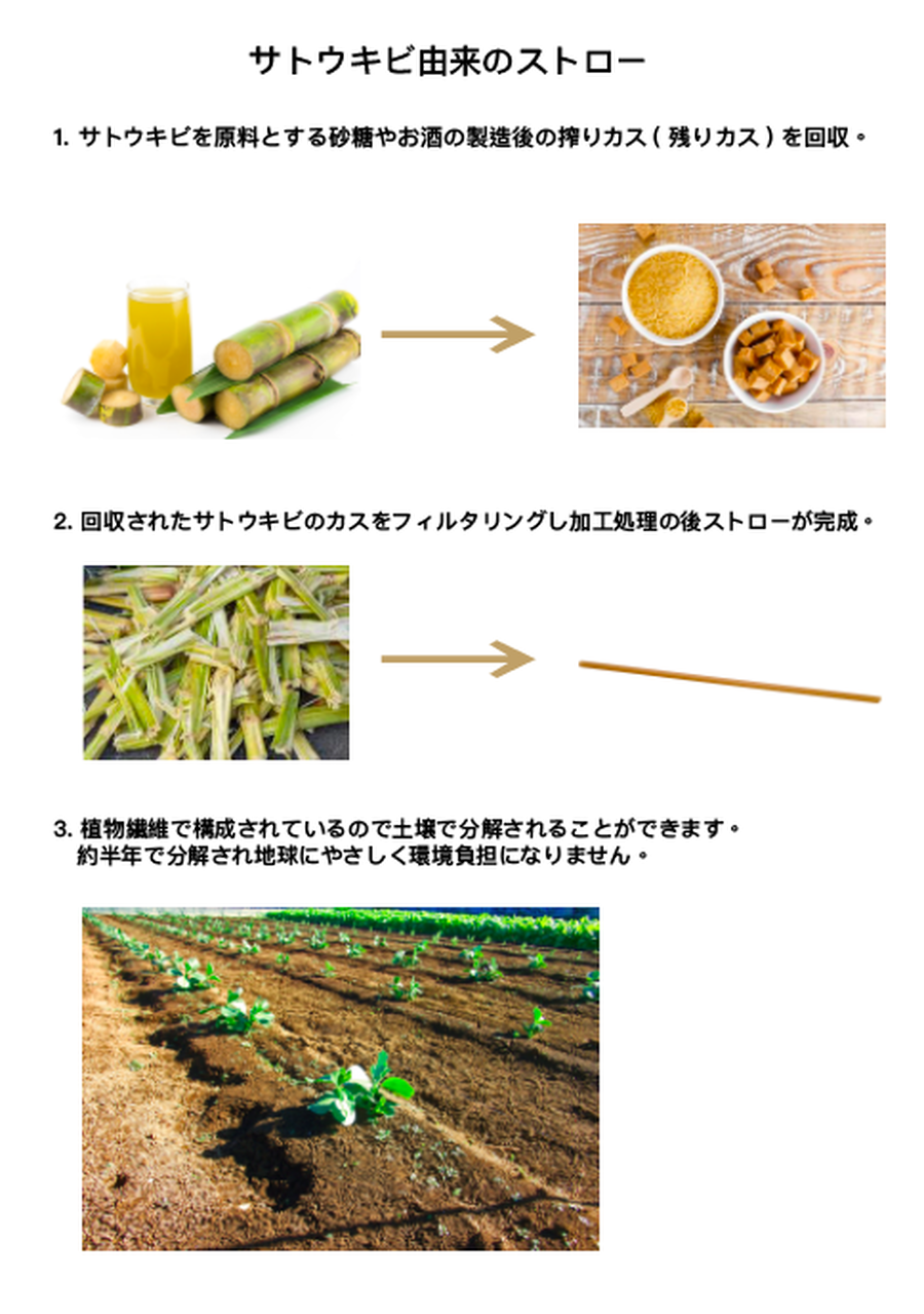 地球環境に優しい 台湾産さとうきびストロー 生分解ストロー 100本入 Me Taiwan おうちで台湾気分