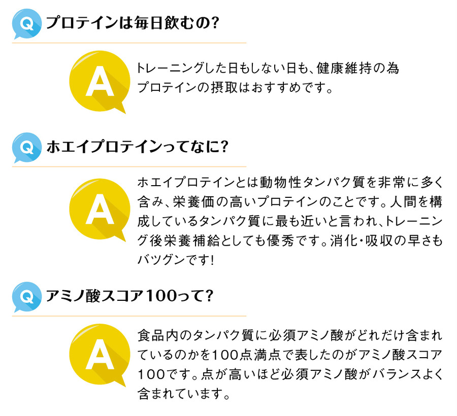 ホエイプロテイン WPC PURE 1kg ココア リミテスト 人工甘味料 香料 無添加 国産 国内自社工場製造 高級ブランド