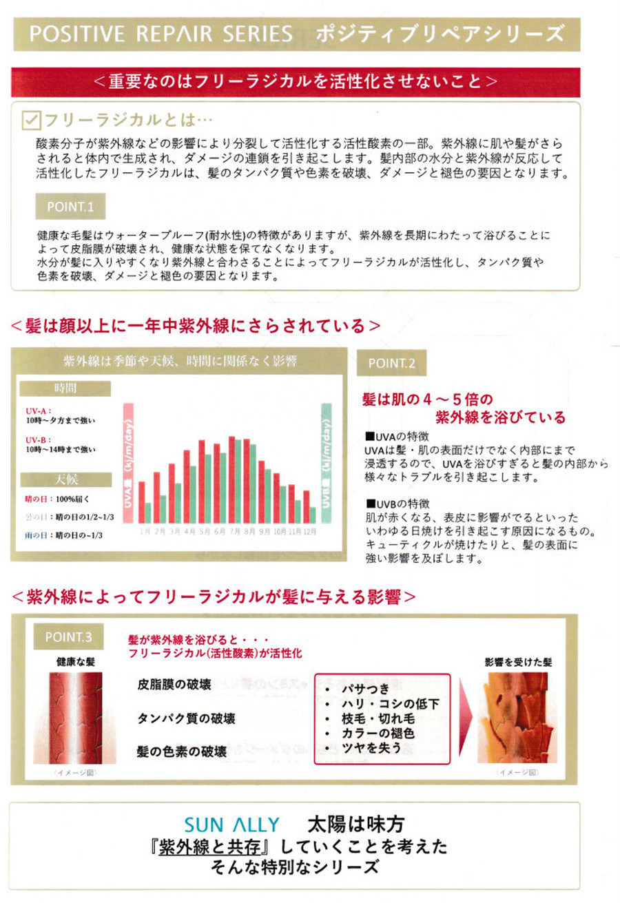 最低価格の イイスタンダード E STANDARD シャンプー ポジティブリペア