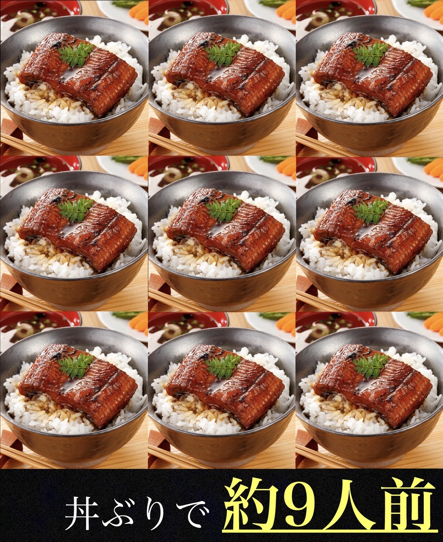 うなぎの蒲焼き 大サイズ 和牛の詰め合わせ 計1 44kg 贅沢な家ごはん