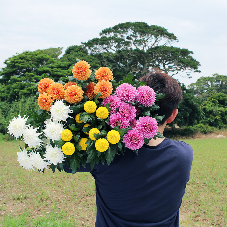 ピンポンマムブーケ M よいはな Yoihana 最高品質のお花をお届けするネット通販