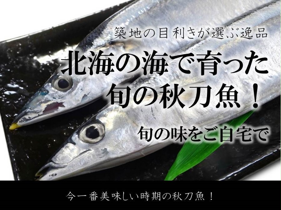 特大秋刀魚 1尾約180 0g サンマ 北海道産 豊洲直送 特大5尾 特大さんま180g X5尾 冷蔵 Okawari 豊洲直送の高級海産物をお届け