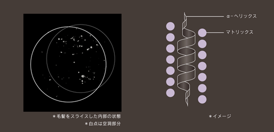 COREME シャンプー S / 1000ml