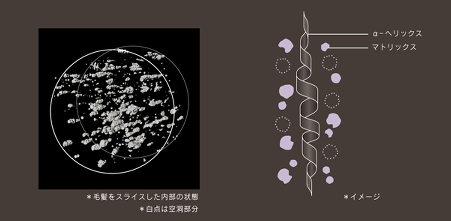 COREME シャンプー S / 1000ml