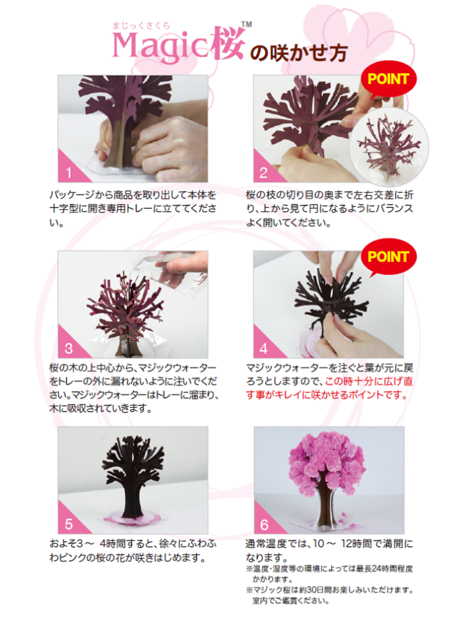 Magic桜 | KEIBUNSHA ONLINESHOP